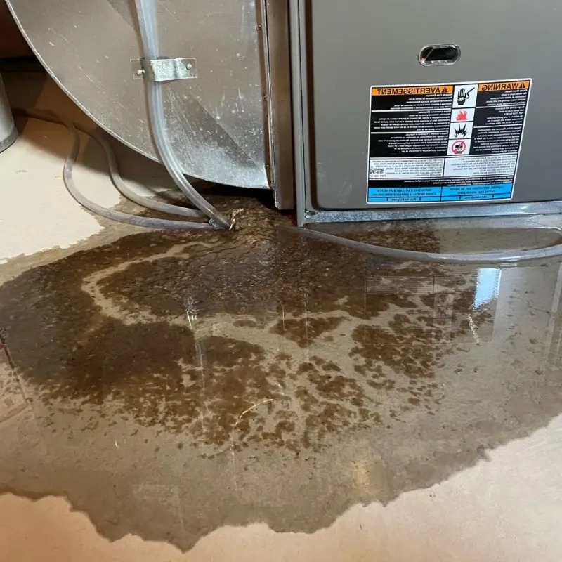 Pipe Burst and Leak Restoration in Dimmitt, TX